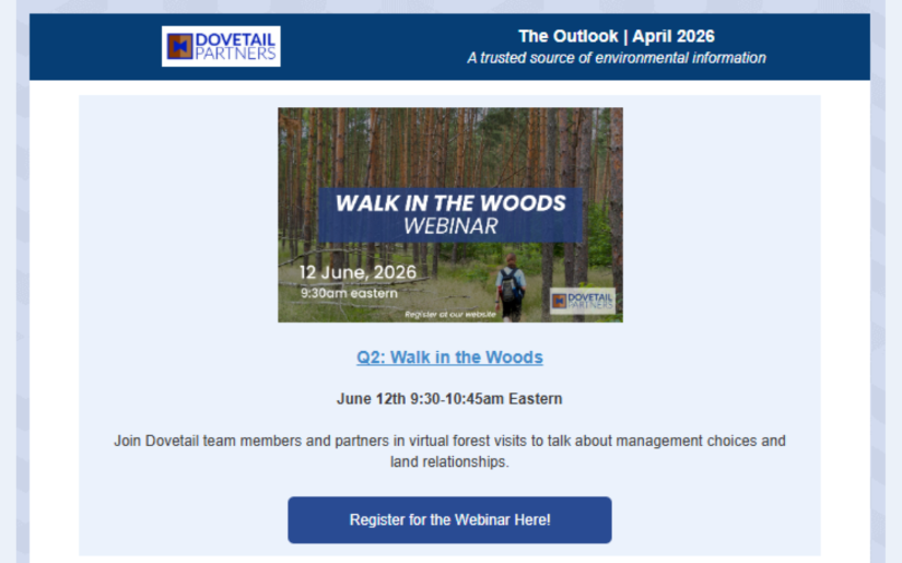 The Outlook | April 2026